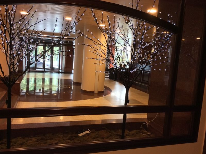Hotel Rapsodia City Center Botoşani Buitenkant foto